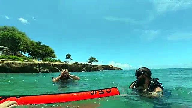 Scuba Diving at Electric Beach Oahu 🐠