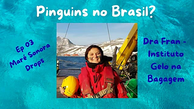 MS Drops 3: Why do penguins come to Brazil?